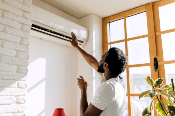 Best Solar-powered HVAC Systems in La Crescent, MN
